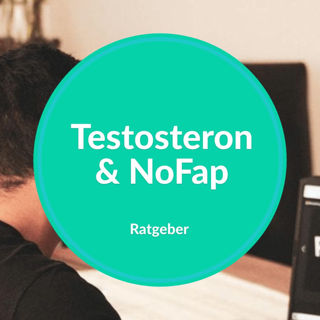 nofap testosteron