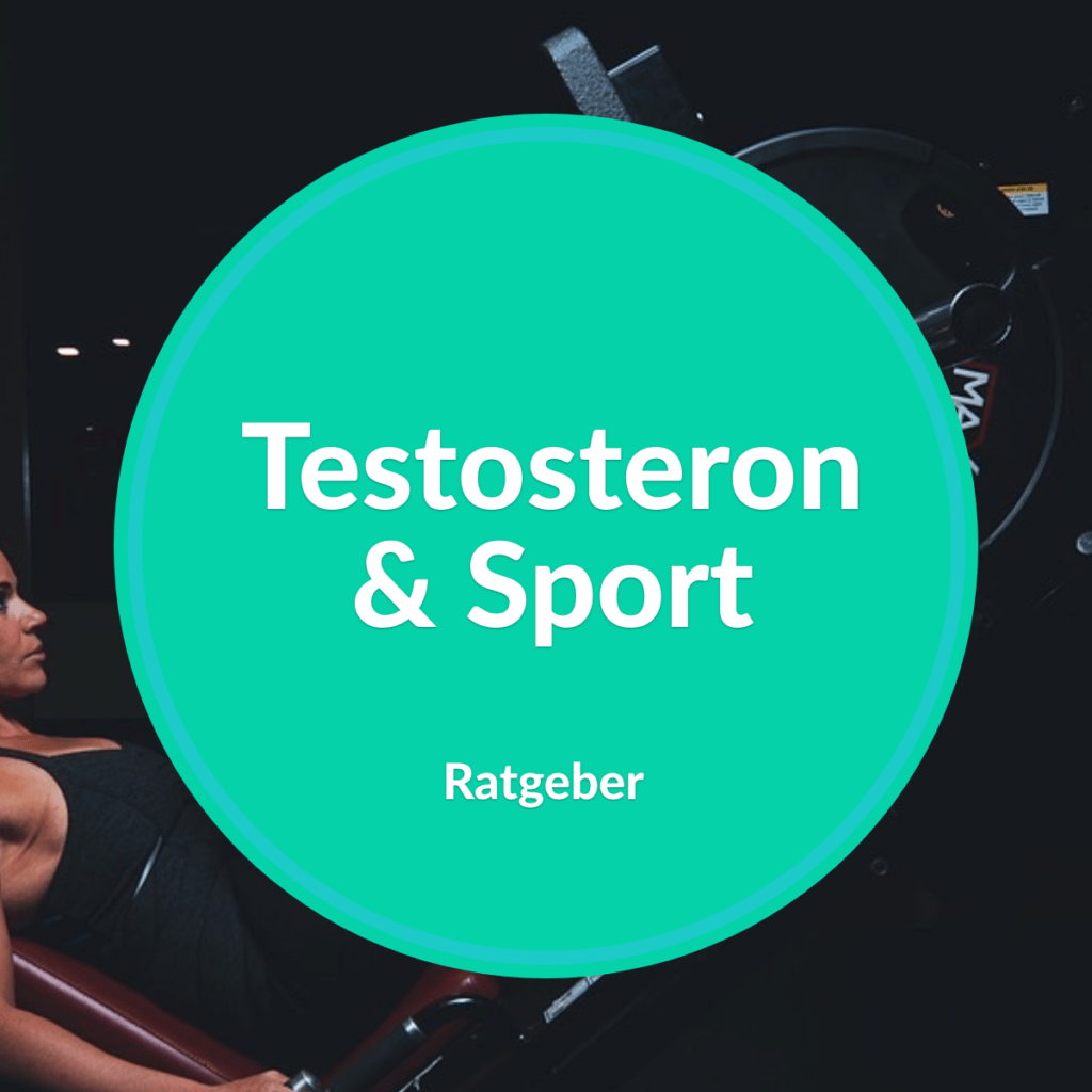 sport testosteron
