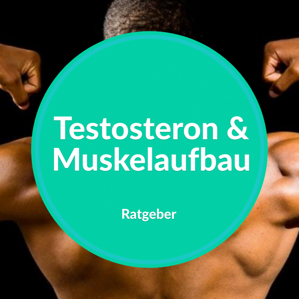 testosteron muskelaufbau mittel tipps