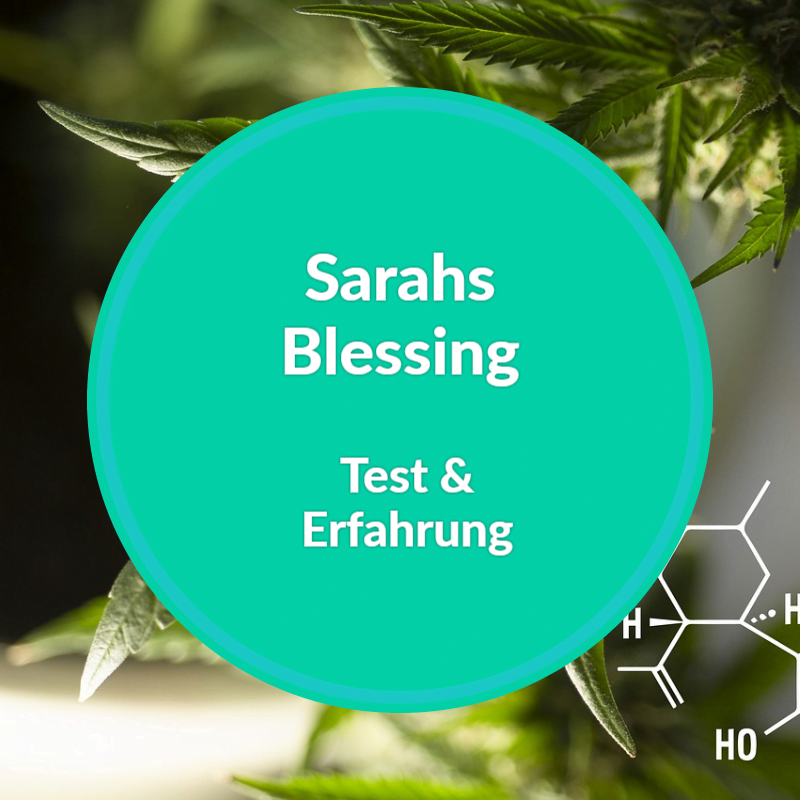 sarahs-blessing-beitragsbild
