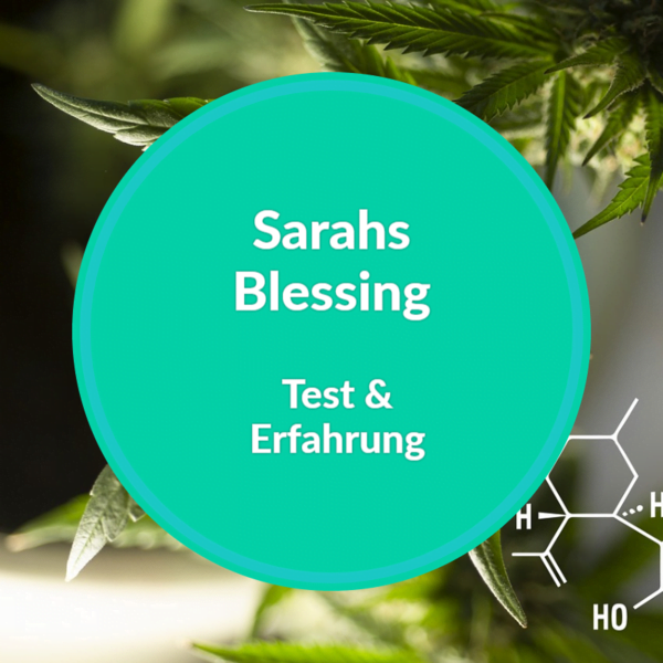 Sarahs blessing was ist sarahs blessing cbd 
